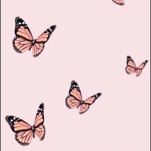 Meet your Posher, Hailey